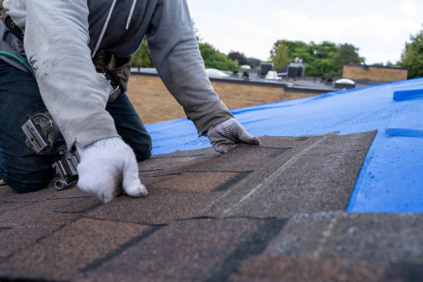 Best Flat Roof Repair Services  in Black Hammock, FL