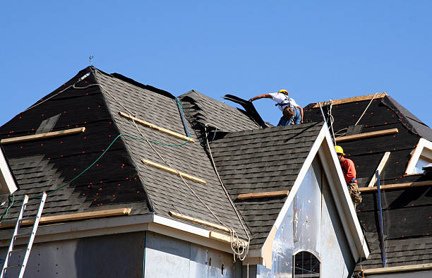 Best Storm Damage Roof Repair  in Black Hammock, FL