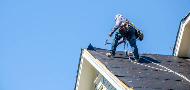Best Roof Maintenance Services  in Black Hammock, FL